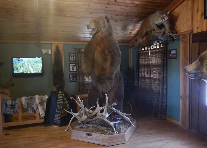 4 Bears Meeteetse