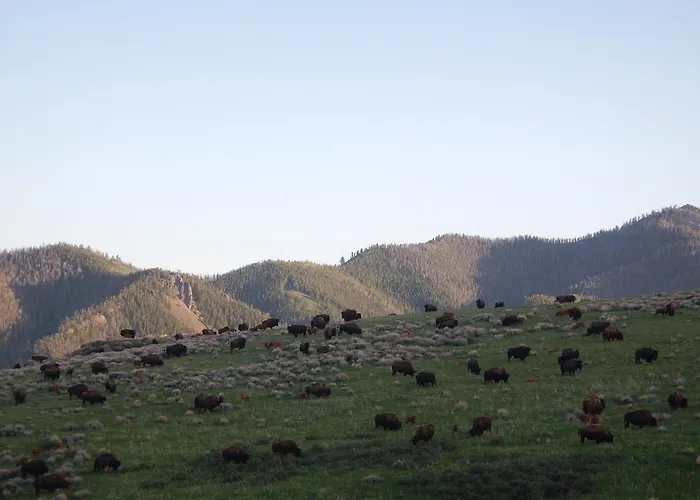4 Bears Meeteetse