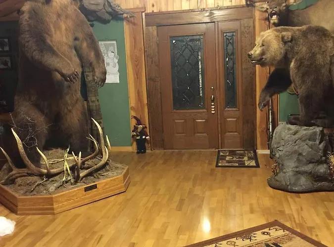 4 Bears Meeteetse
