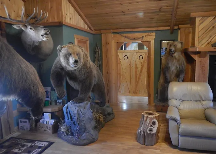4 Bears Meeteetse